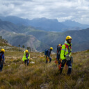 people in safety gear walking along a charred hillside.