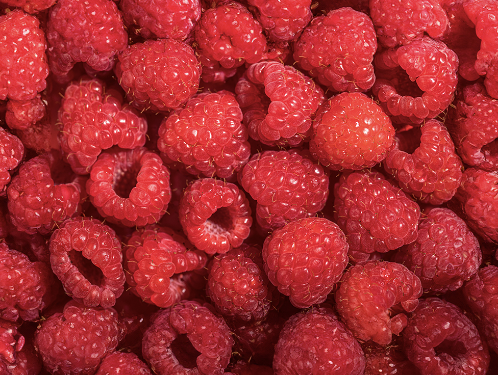 A close-up image of raspberries is shown below text that says "Reducing food waste."