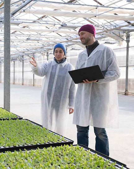 Two people wearing safety gear stand over crops in a greenhouse.